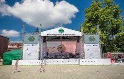 Оформление сцены. Печать на баннерной сетке
